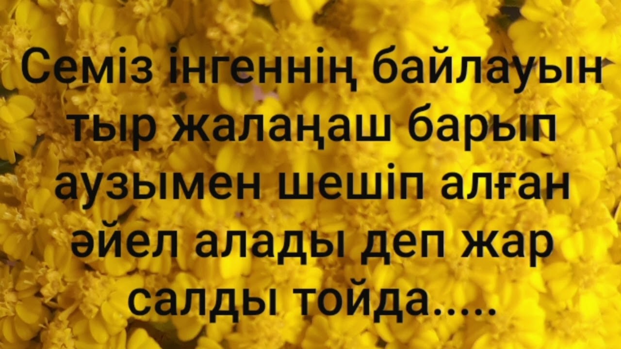 Жалаңаш өте семіз