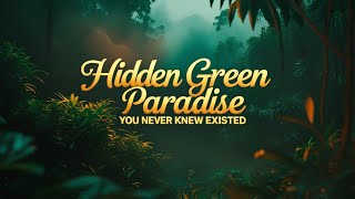 Hidden green paradise you never knew existed#HiddenParadise #NatureLover