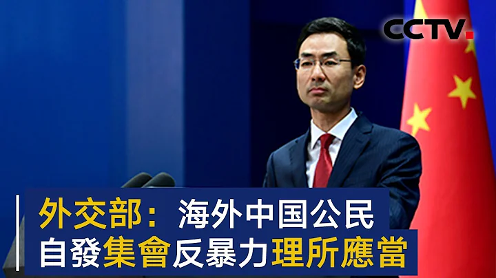 外交部发言人：海外中国公民集会反对抹黑中国是理所应当 | CCTV - 天天要闻