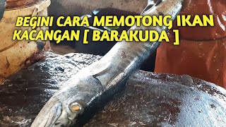 Cara Membersihkan Dan Memotong Ikan Kacangan Barakuda Oleh Ahli - Poenya Channel