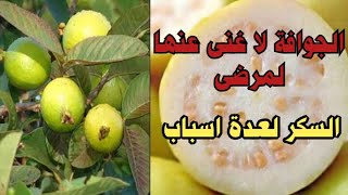 الجوافة لا غني عنها لمرضي السكري لعدة اسباب