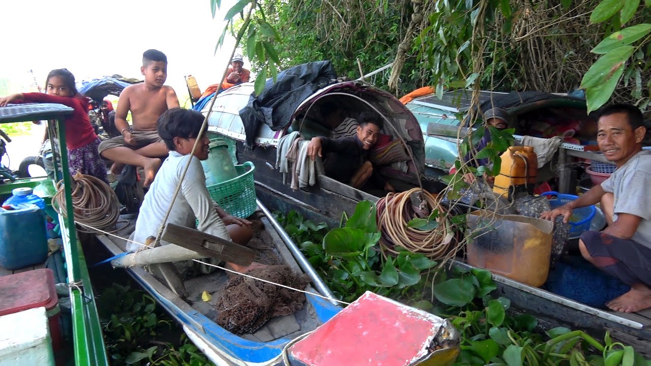 Mưu Sinh Từ Nghề Chài Rê Nét Đẹp Ngư Dân Đánh Bắt Cá Trên Sông Vàm Cỏ
