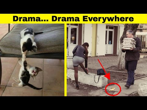 drama-is-everywhere