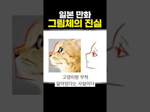 <strong>일본</strong> <strong>만화</strong> 그림체의 진실