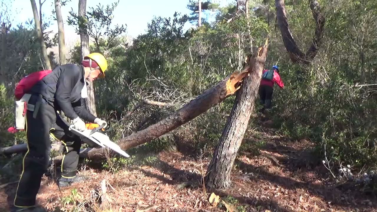 2026-2-1杤原の活動