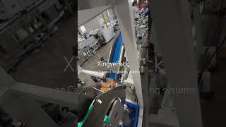 #Casepacking of #instand #noodle #bags #casepackingsystem #casepacker #machine #collecting #device
