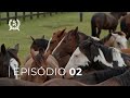 AS DOMADORAS - Conexão Com o Cavalo | EPISÓDIO 02