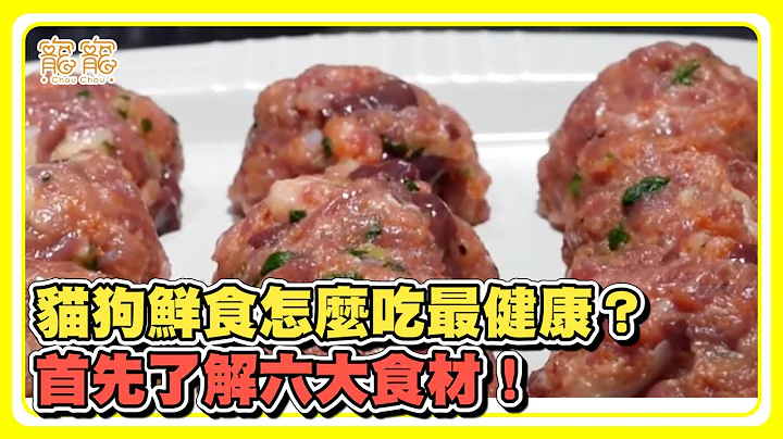 貓狗鮮食怎麼吃最健康？首先了解六大食材！ - 天天要聞