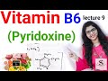 Vitamin b6  pyridoxine biochemistry in hindi vitamin b6 functions vitamin b6 deficiency  source