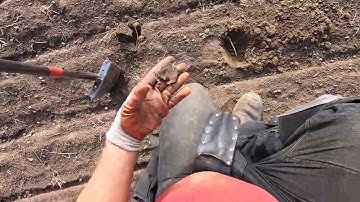 LIVE DIG RING!! Farm field action with the Deus.