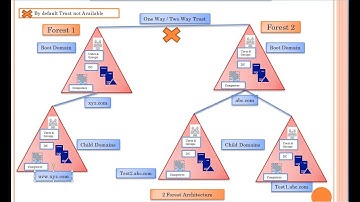 Active Directory Forest Explanation & Tutorial