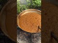 Making Sugarcane Leaf Plates 🍃 | Traditional Eco-Friendly Craft | Daily Morning Info