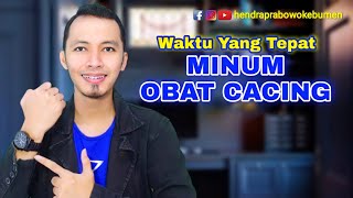 WAKTU YANG TEPAT MINUM OBAT CACING AGAR HASIL MAKSIMAL || TIPS MINUM OBAT CACING YANG BENAR