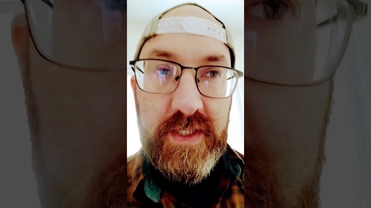 кошек без когтей