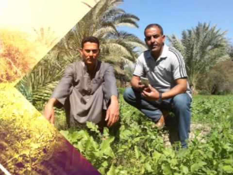 ذكريات زاهر وسلام 