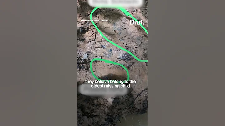 Officials believe four missing children have survived in the Amazon after their plane crashed.