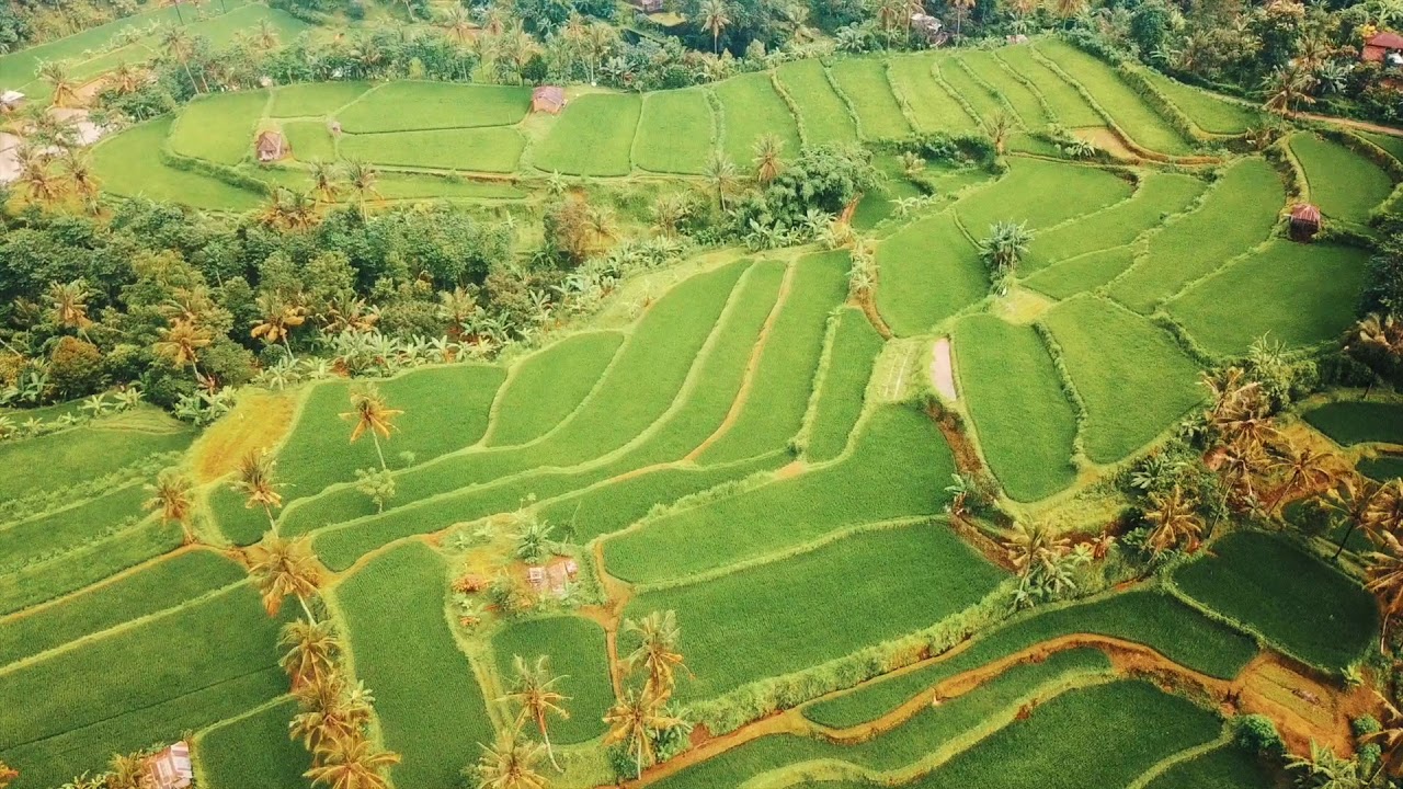 dronesense Face of North Bali | DJI Mavic Pro