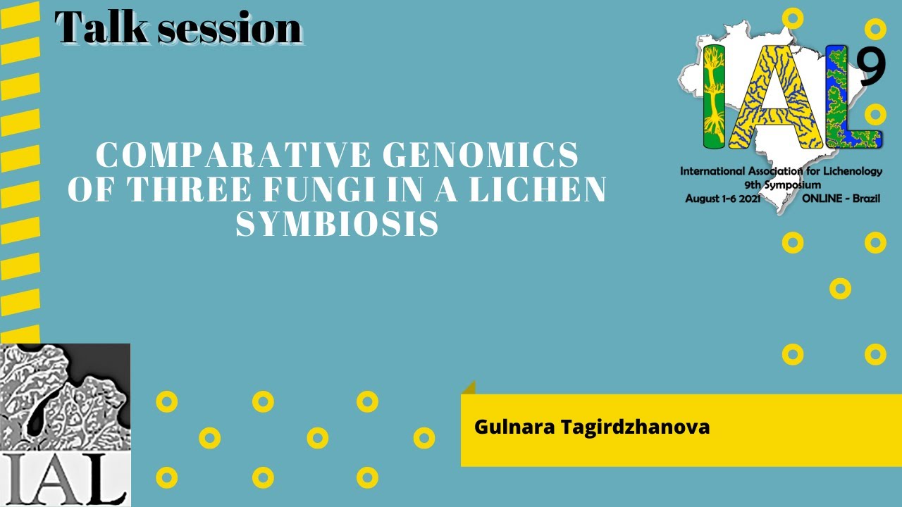 IAL9 - Talk session -  Gulnara Tagirdzhanova