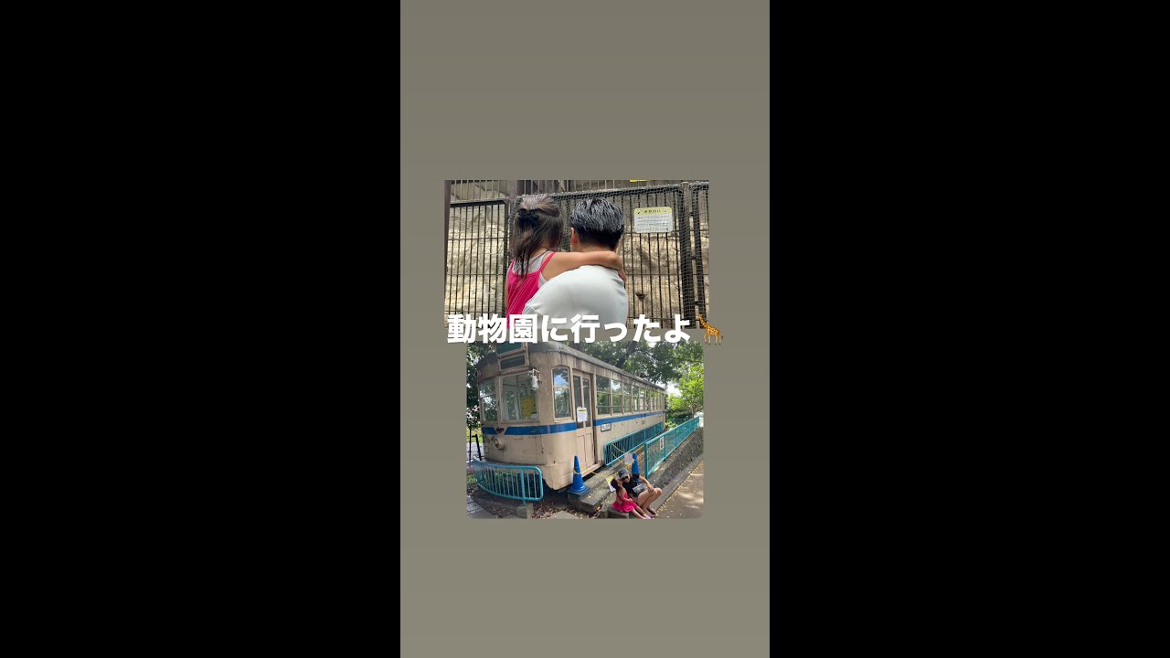 【神奈川県の野毛山動物園に行きました🦒入場料無料でした！】#子供 #関東 #神奈川 #横浜 #野毛山動物園 #動物園 #家族 #子連れ #無料 #犬 #dog #ピレニーズ #pyrenees