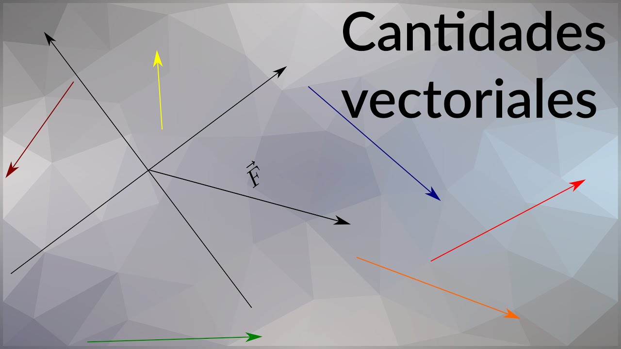 ¿Qué es una cantidad vectorial? - YouTube