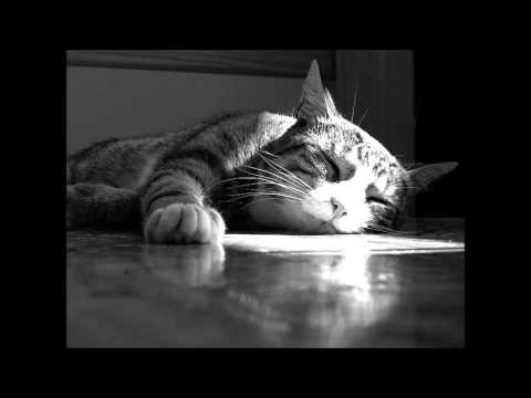 D.X.Xavier — D.X. Xavier - Fur (Original Mix)