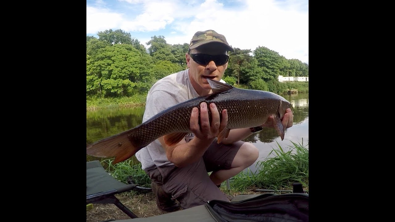 Barbel fishing on the river Severn at Hampton loade.BAA water. YouTube