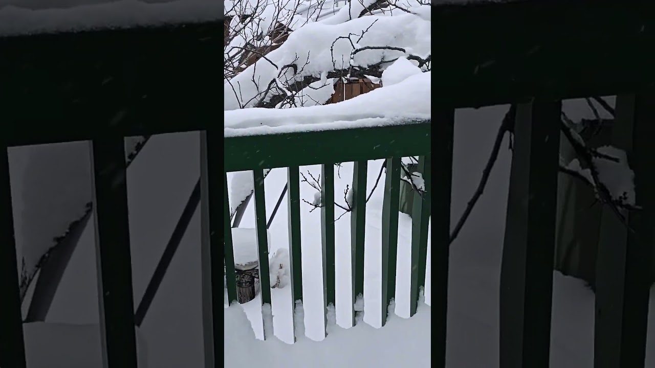 a month worth of snow in less than 2 days 