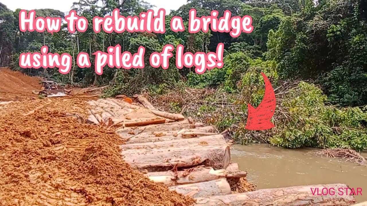 How to build a bridge using piled of logs! #trendingshorts - YouTube