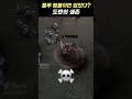 " 본인 플레이에 감탄하는 도란 ☠☠ "