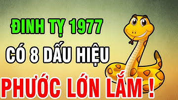 Tuổi Đinh Tỵ 1977 - Có 8 Dấu Hiệu Này Trên Thân, Phước Lớn Lắm, Khổ Mấy Cũng Qua, Về Già An Nhàn!