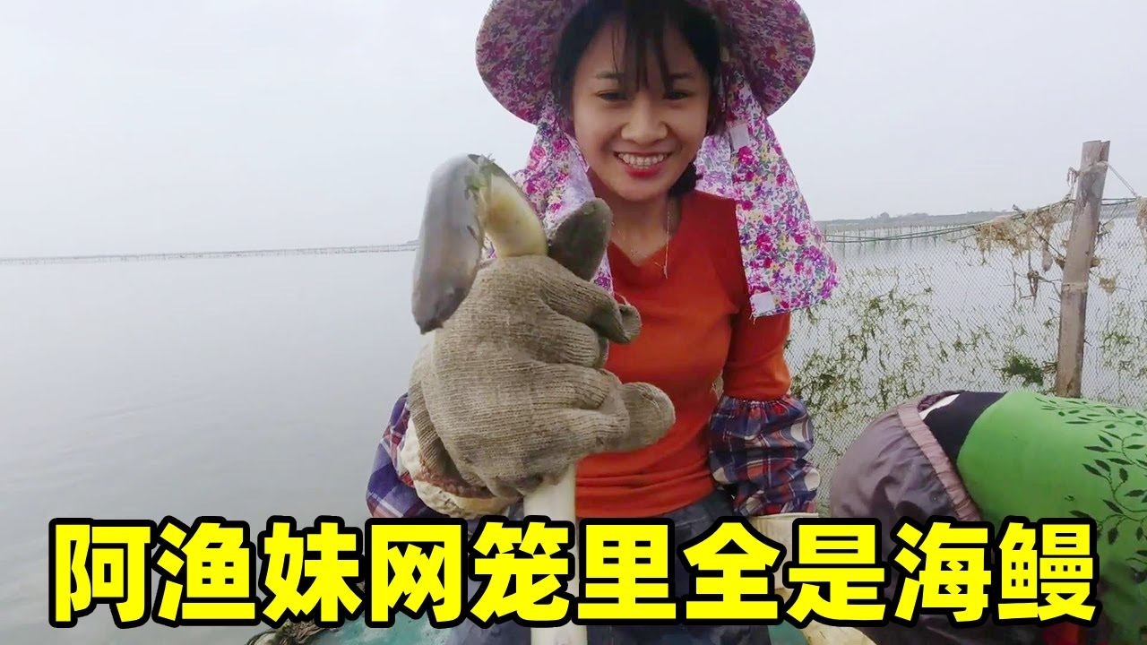 网笼里全是值钱的海鳗，这一条价格不便宜，阿渔妹越抓越起劲【阿渔妹】