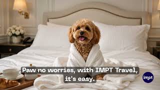 Looking for a hotel pet friendly Hotel? 🐾