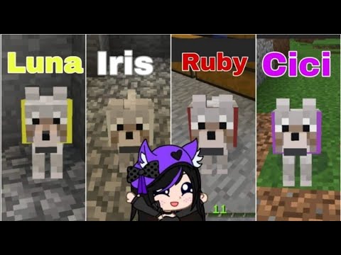 Pets | Craftsman Survival | part 7