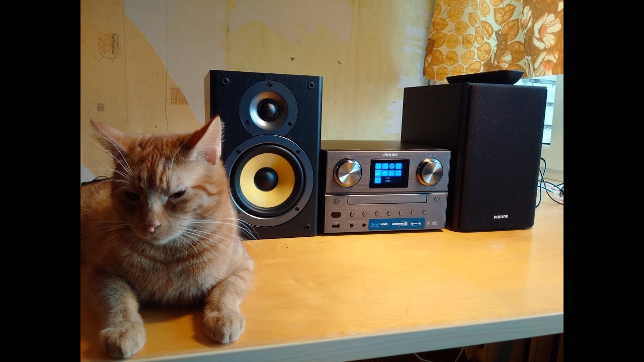 Unboxing and review of Philips Micro Music System TAM8905/10 - YouTube