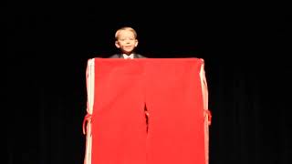 (2019) The Misadventures of Horse, a Puppet Show