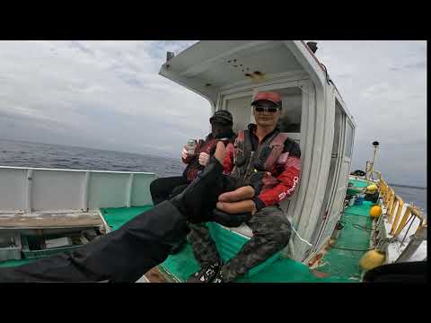 東吉嶼外礁 鋤頭嶼 釣點:大內凹 下雨天也要釣一波#磯釣#鸚哥魚#厚殼