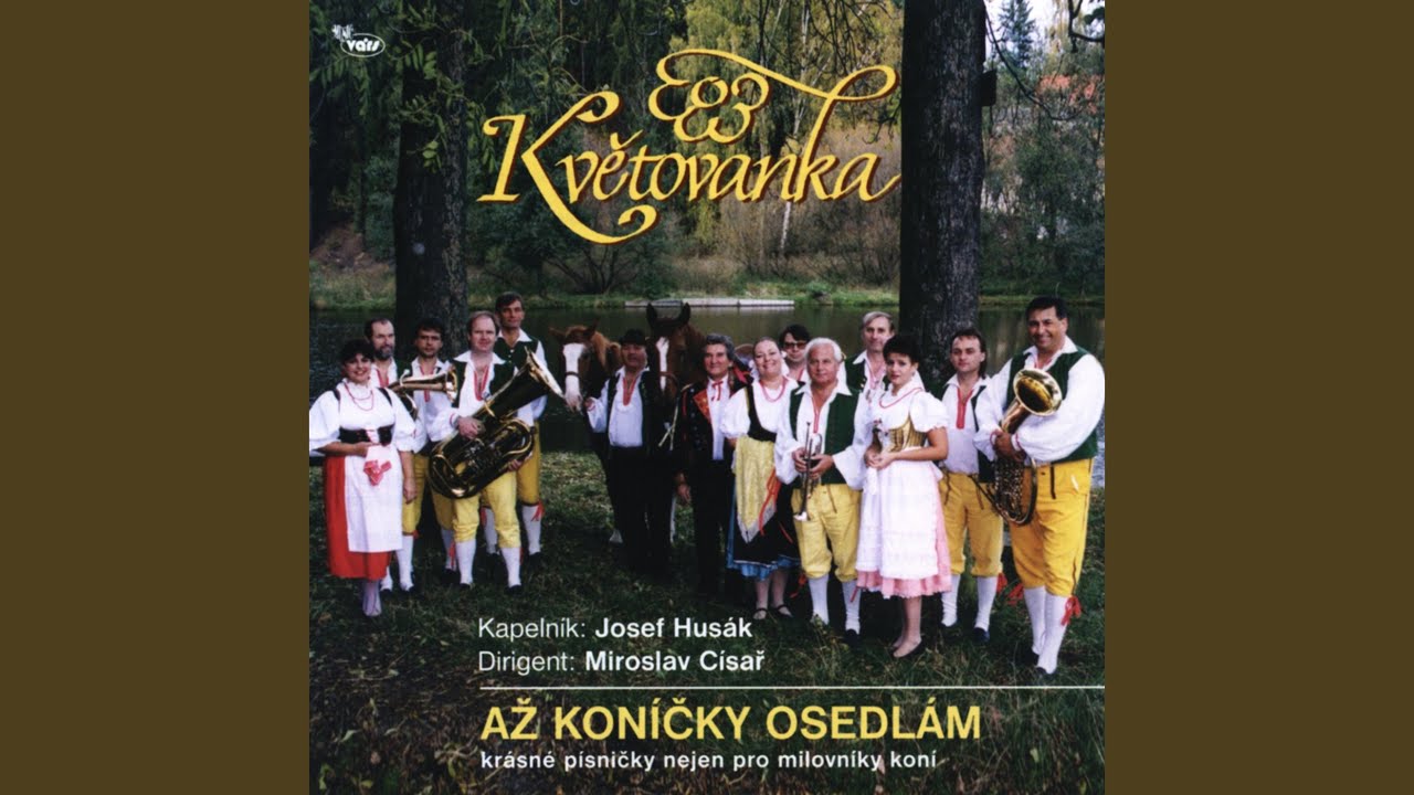 Páslo děvče koně