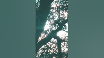 [ربنا فاغفر لنا ذنوبنا وكفر عنا سيئاتنا وتوفنا مع الابرار ] القارئ محمد صديق المنشاوي ❤️