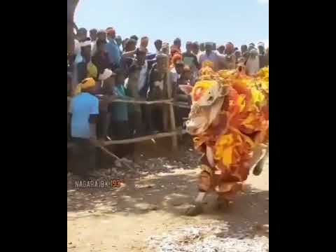 number Hawa chandaua