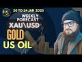 Xauusd Weakly Analysis Hindi /20-24 January /Gold Analysis #usoil #goldforexanalysis