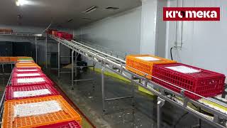 Plastic Crate Arrival System