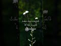 الرجال قوامون على النساء بما فضل الله بعضهم على بعض وبما أنفقوا من أموالهم النساء ماهر المعيقلي