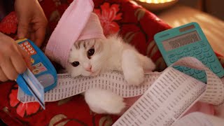 The Last Spa! Tteoksoon Going Broke from All The Spa Bills?? | Cat Spa ASMR Pt. 11