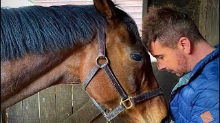 My 2023 Animal Communication Courses