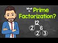 Prime Factorization Explained by Mr. J ๐งฎ
