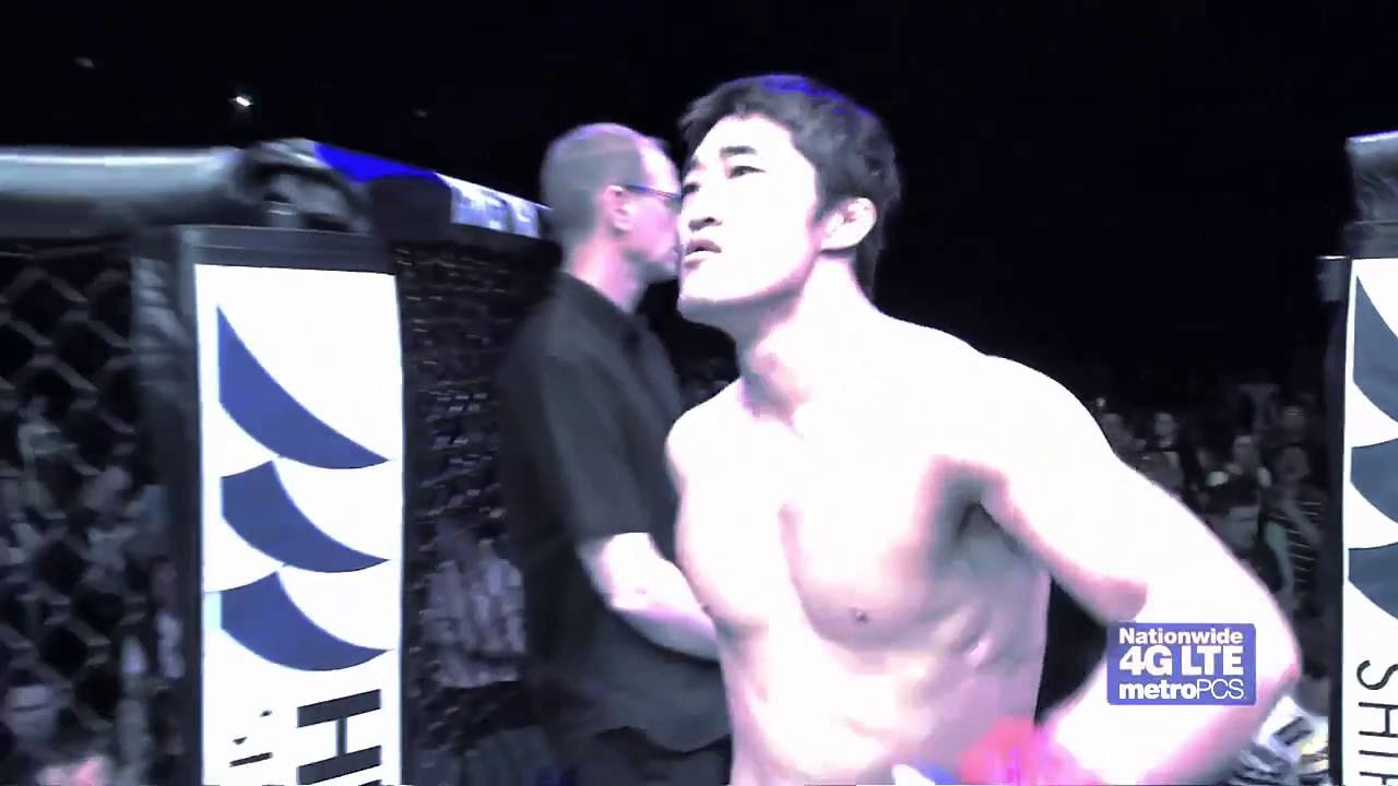 ММА vine knockout