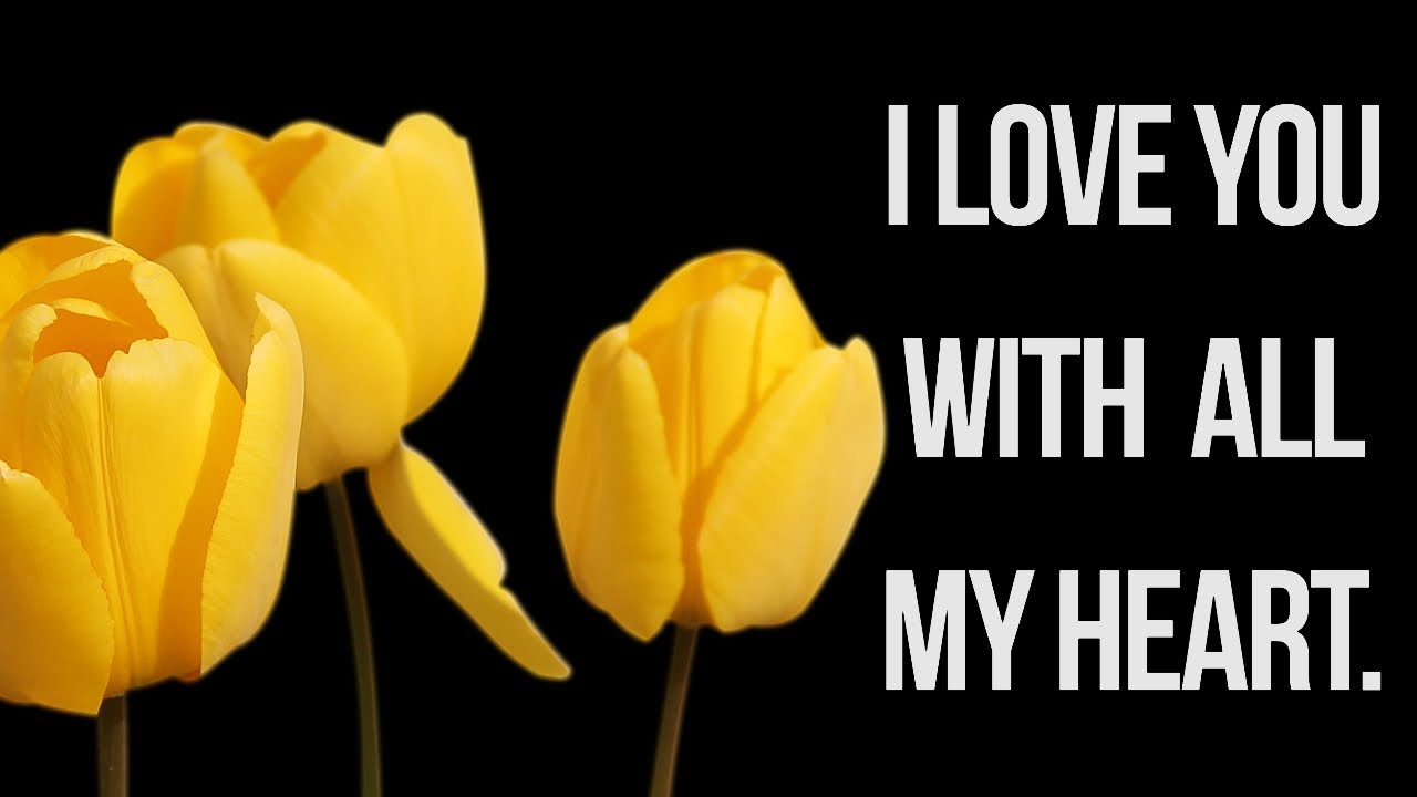 My love, thanks for always being with me even when we are miles apart. I love you with all my heart.