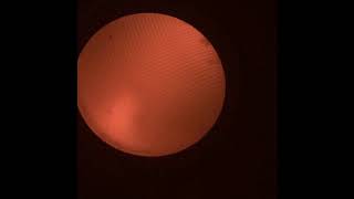 CA Wildfires Bring Orange Sky Orange Fog Orange Smoke to San Francisco Daly City Bay Area 2020