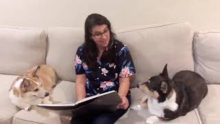 Cerritos Library Summer Reading Program 2021
