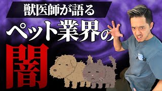 【閲覧注意】関係者しか知らない'動物業界の闇'を獣医師が大暴露します